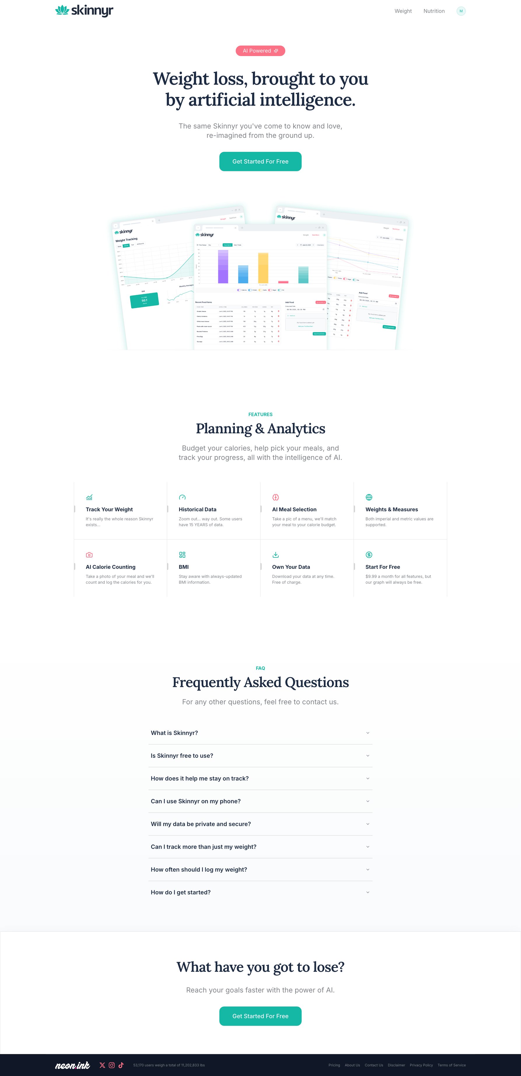 Screenshot of Skinnyr